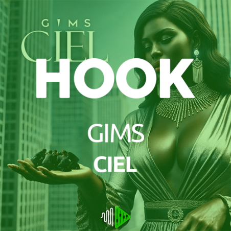 HOOK - GIMS - CIEL