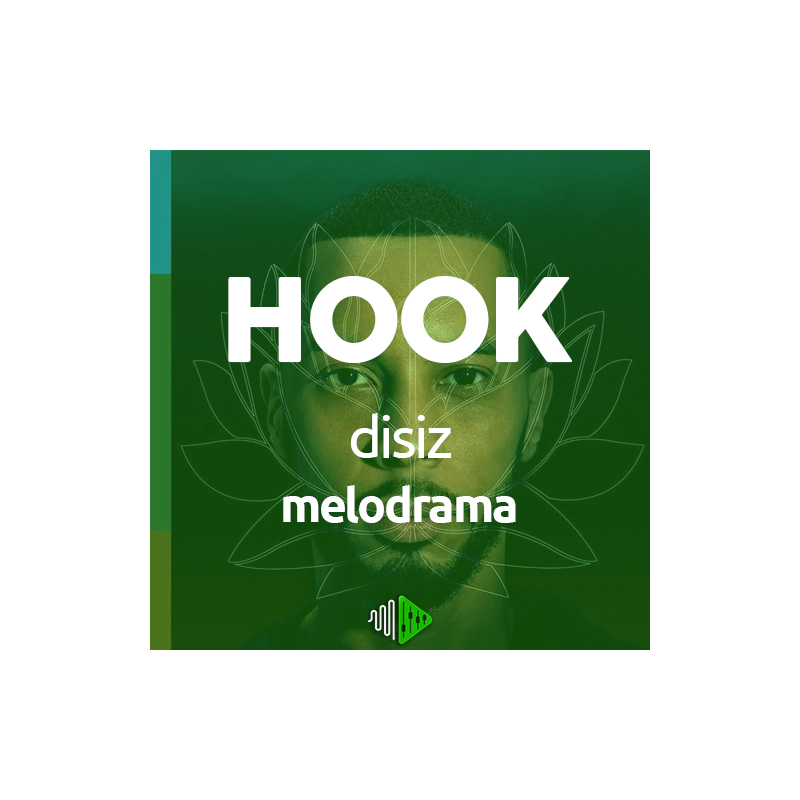 HOOK - disiz - melodrama
