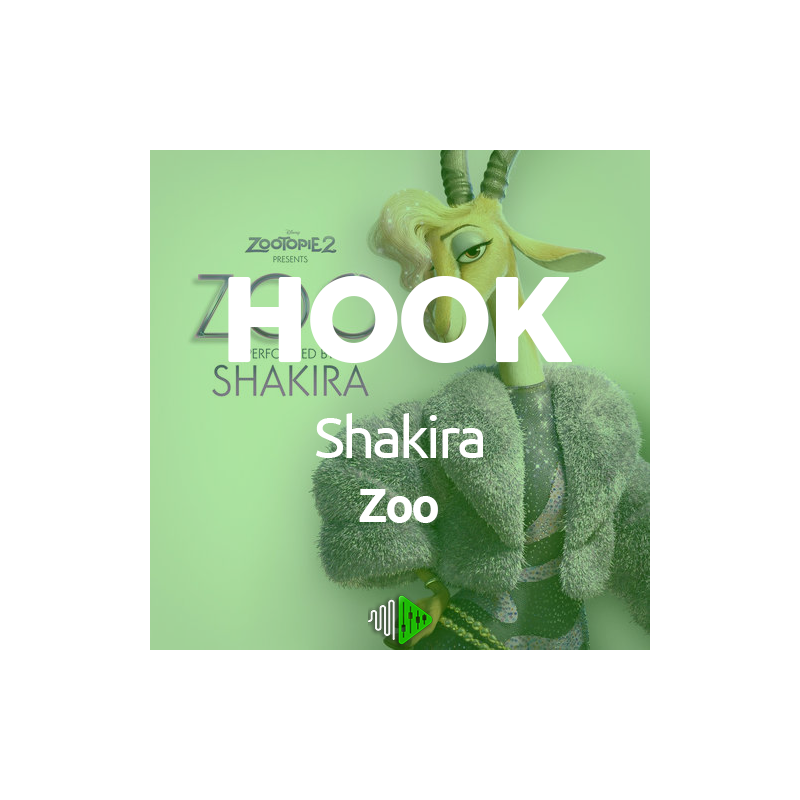 HOOK - Shakira - Zoo