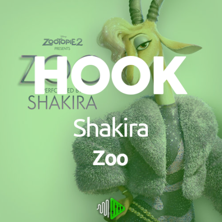 HOOK - Shakira - Zoo