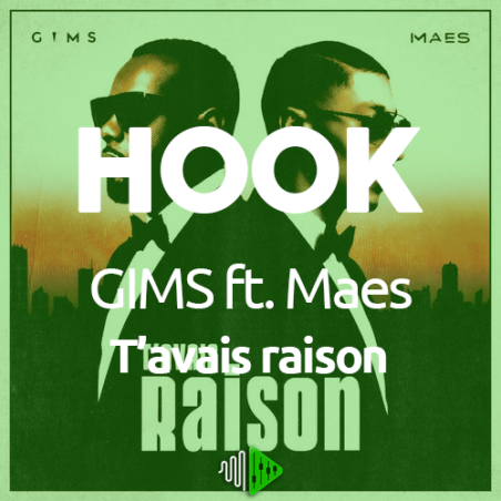 HOOK - GIMS ft. Maes - T'avais raison