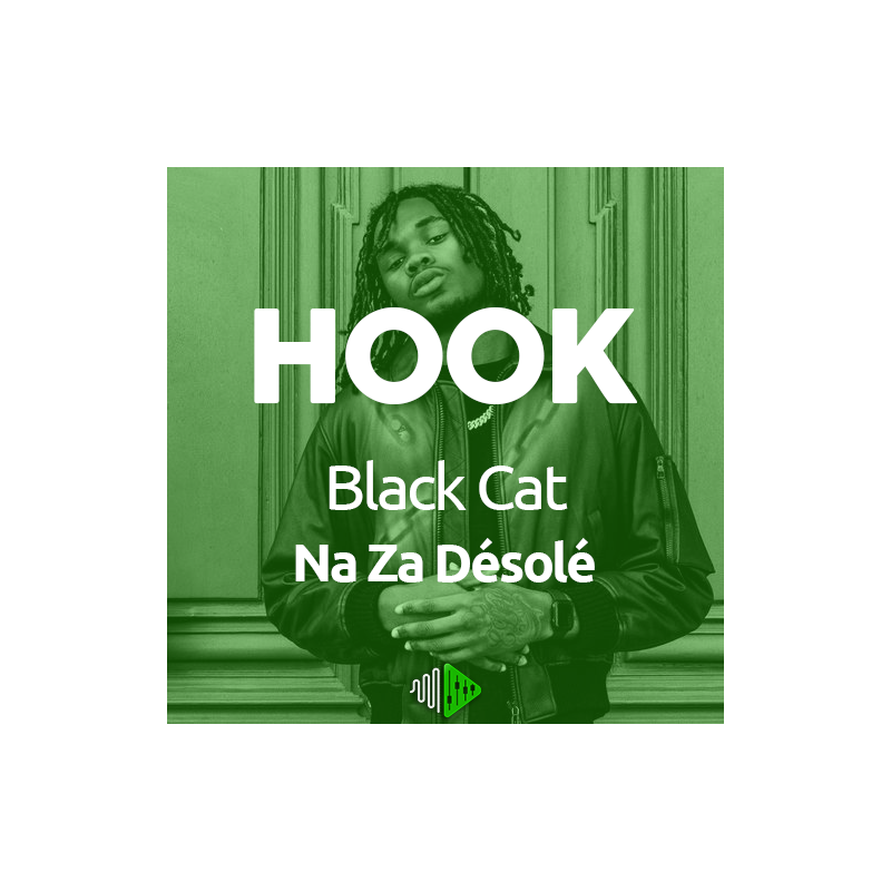 HOOK - Black Cat - Na Za Désolé