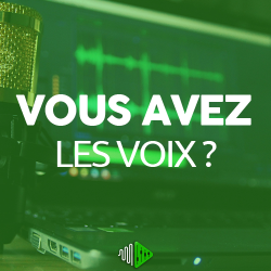 MONTAGE Jingles Radios & Spots Publicitaires Audios - loicradio