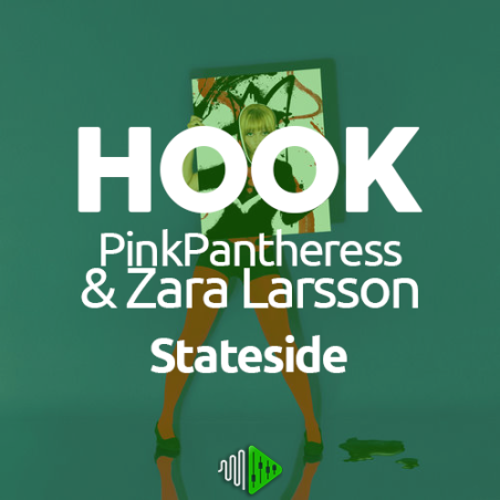 HOOK - PinkPantheress, Zara Larsson - Stateside