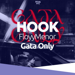 HOOK - FloyyMenor - Gata Only