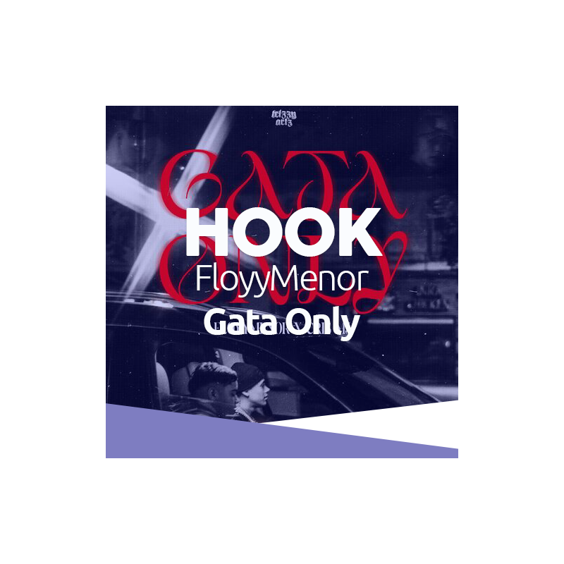 HOOK - FloyyMenor - Gata Only