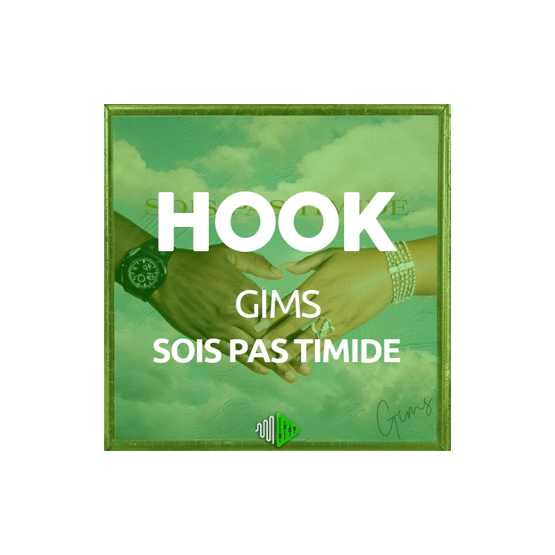 HOOK - GIMS - SOIS PAS TIMIDE