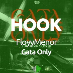 HOOK - FloyyMenor - Gata Only