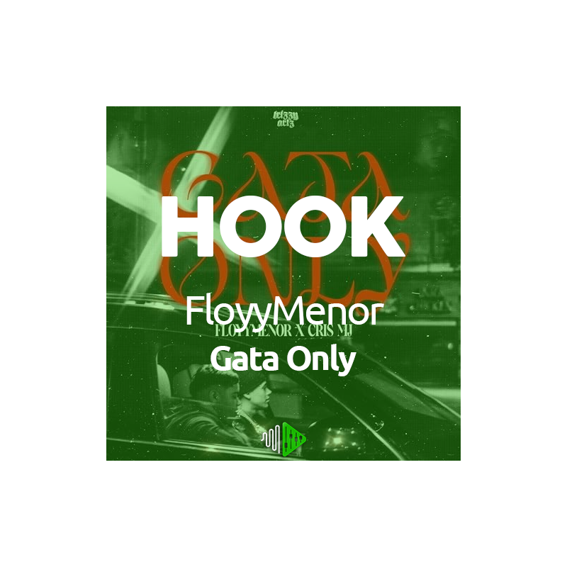 HOOK - FloyyMenor - Gata Only