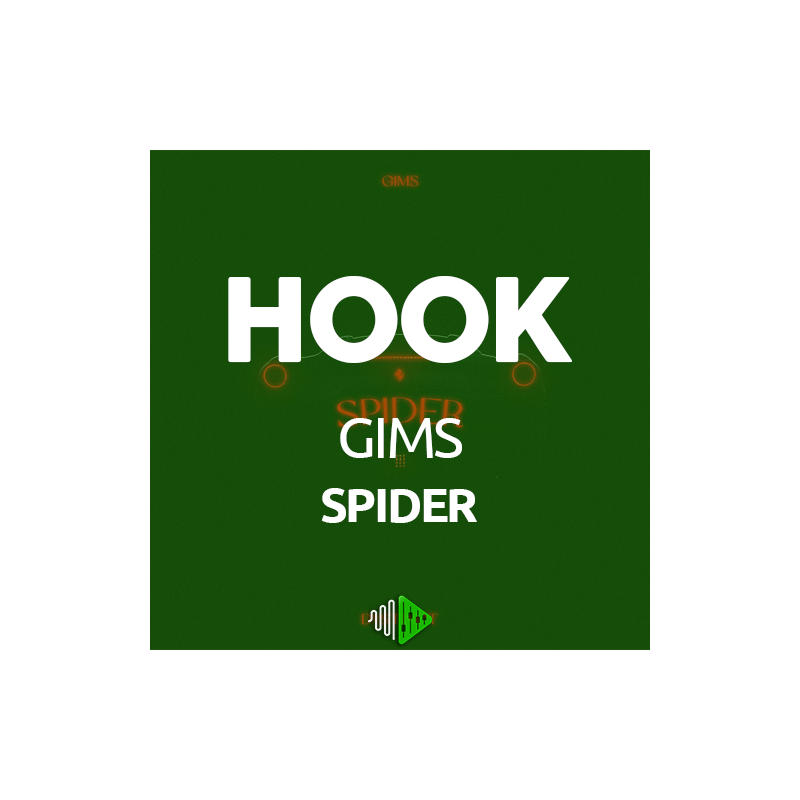 HOOK - GIMS - SPIDER